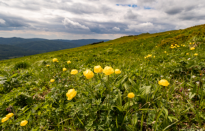 Fundusze Europejskie dla Polski Wschodniej