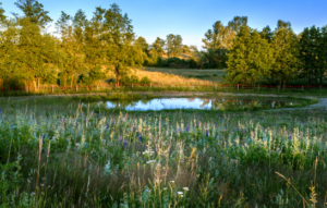 Fundusze Europejskie dla Łódzkiego 2021–2027