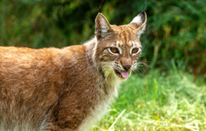 Fundusze Europejskie dla Pomorza Zachodniego 2021–2027