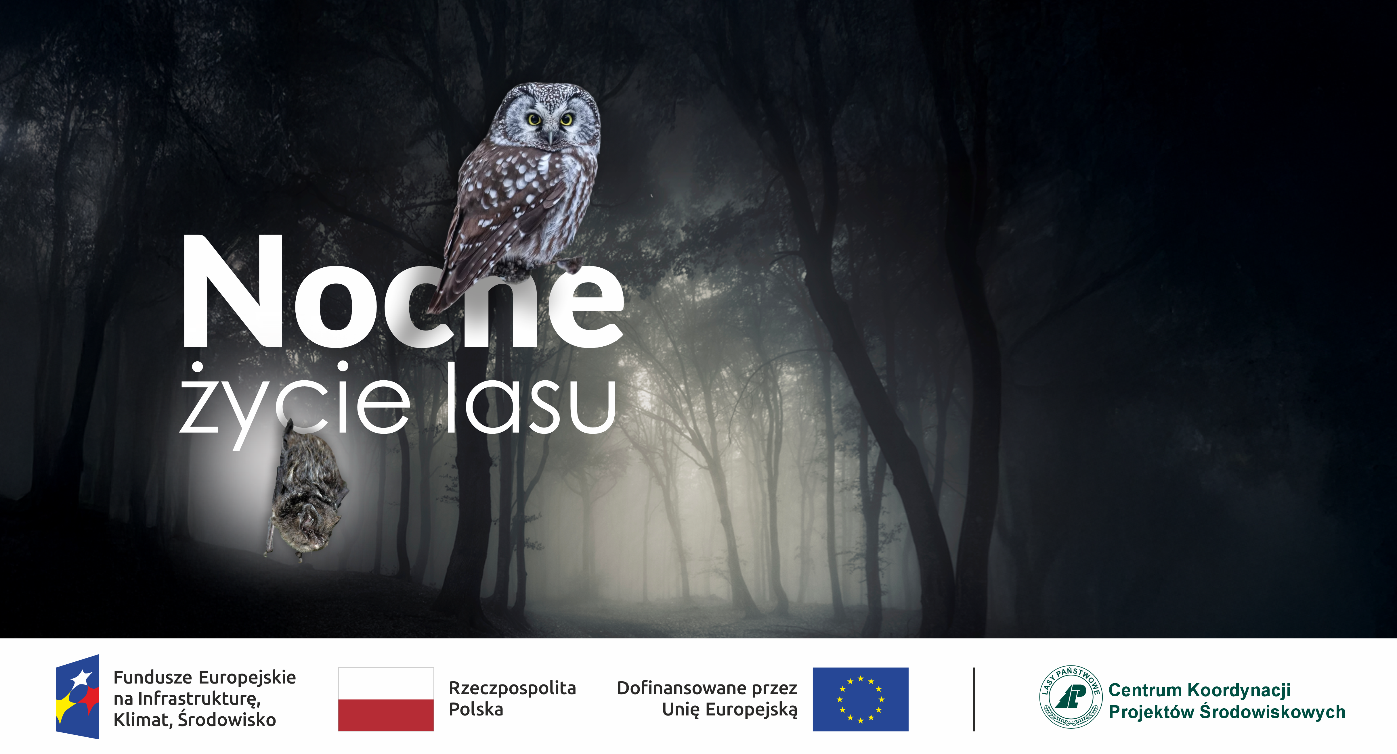 Konferencja – „Nocne życie lasu”