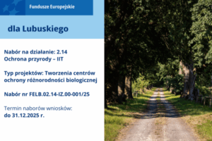 FELB.02.14-IZ.00-001/25 – nabór niekonkurencyjny