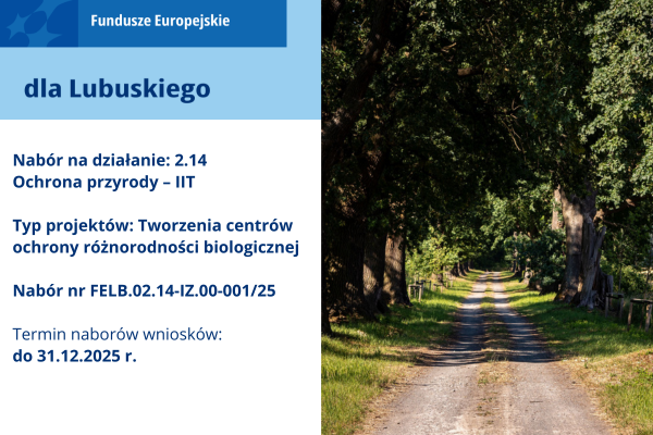 FELB.02.14-IZ.00-001/25 – nabór niekonkurencyjny