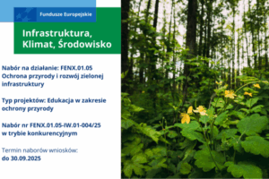 FENX.01.05-IW.01-004/25 w trybie konkurencyjnym
