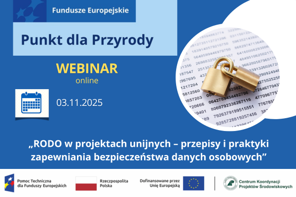 RODO w projektach unijnych – przepisy i praktyki zapewniania bezpieczeństwa danych osobowych